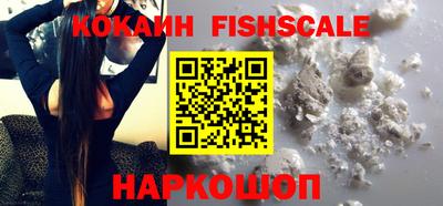 крисы Пенза