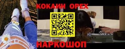 крисы Пенза
