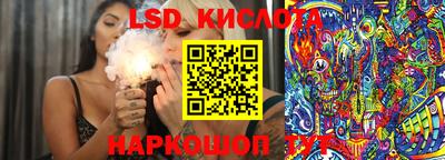 крисы Пенза