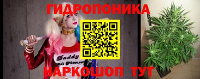 крисы Пенза