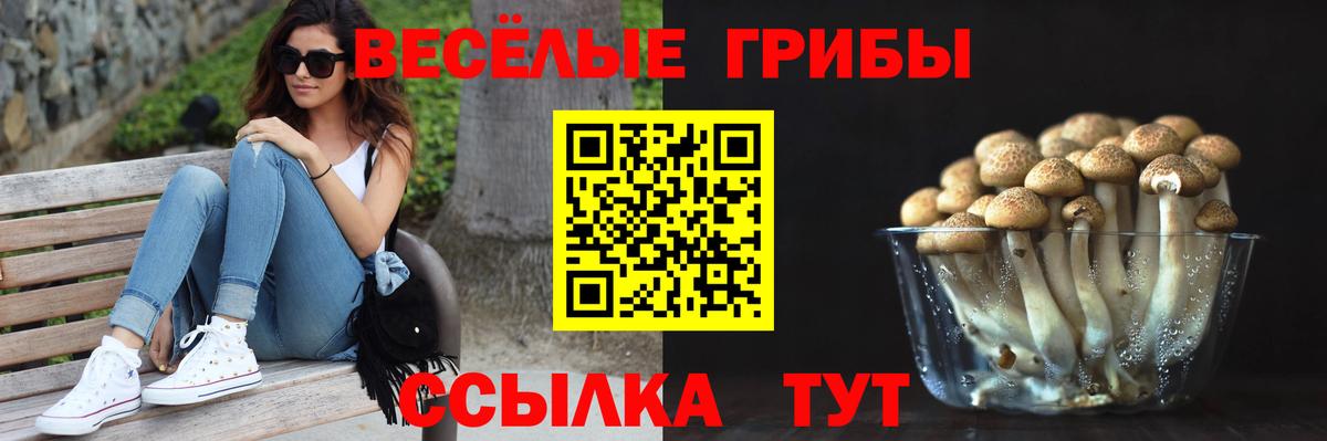 Галлюциногенные грибы мицелий  Вход с VPN  купить наркоту  Узловая 